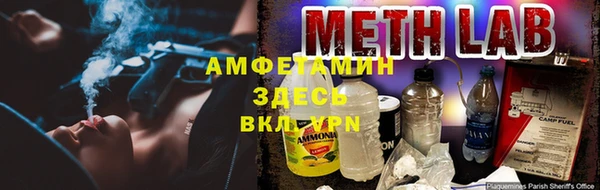 трава Белокуриха