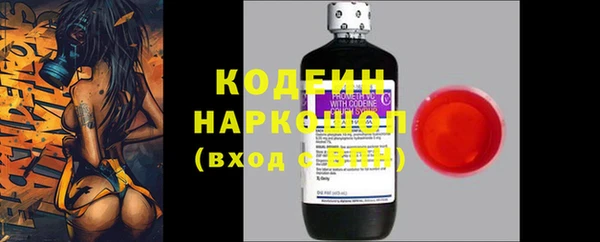 трава Белокуриха