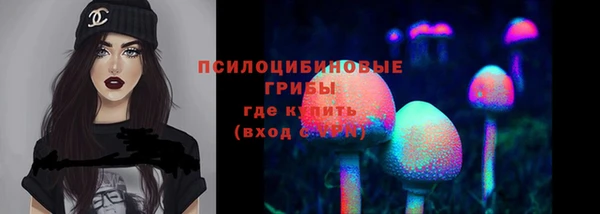 трава Белокуриха