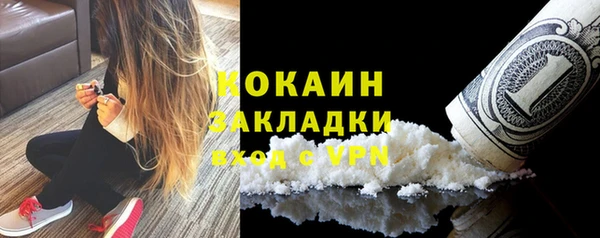 трава Белокуриха