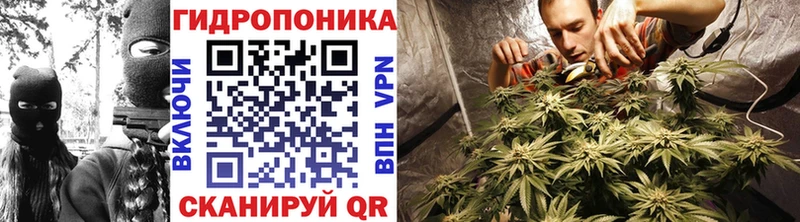 Бошки Шишки White Widow  Купить где  Бокситогорск 
